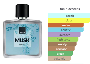 ادوتویلت مردانه ماسک اکسهل MUSK EXHALE
