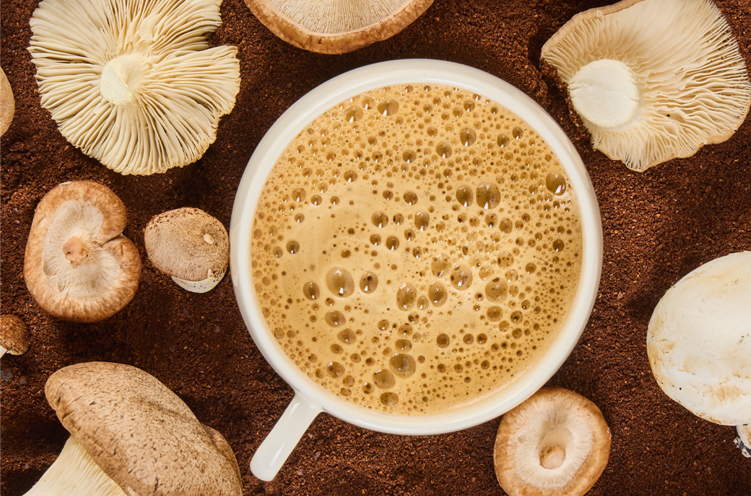 قهوه قارچ Delish Mushroom Coffee نوتری پلاس فارماسی